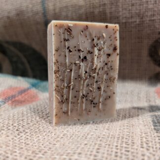 Goat Milk Soap - Christmas Spice
